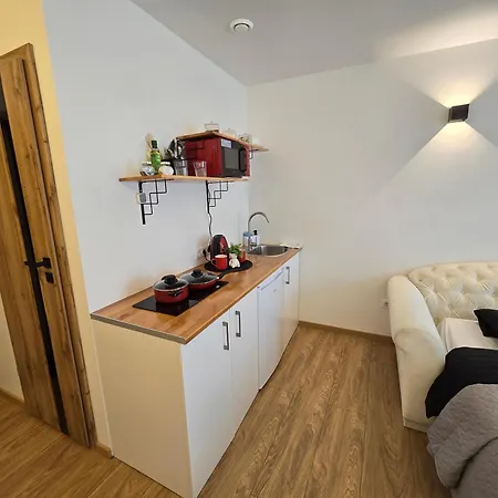 Apartment T1 Bamboo Apartmentas