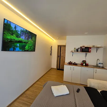 T1 Bamboo Apartmentas * Klaipeda