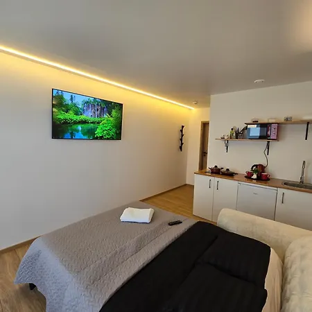T1 Bamboo Apartmentas * Klaipeda